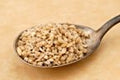 Steel Cut Oats Organic 50# Bulk