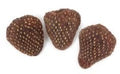 Dried Strawberries -10Lbs