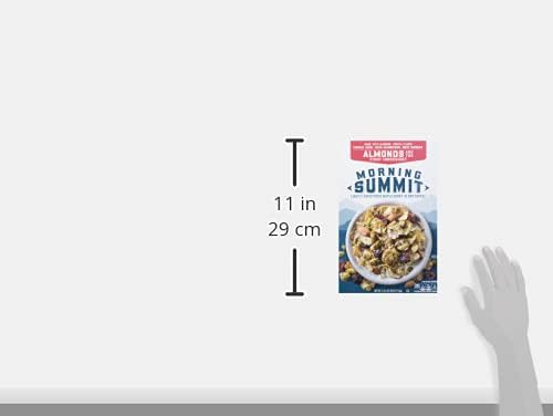 Mills Morniing Sumit Cereal Maple Berry 38 Oz