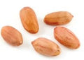 Peanuts Spanish Roasted with Salt -25Lbs