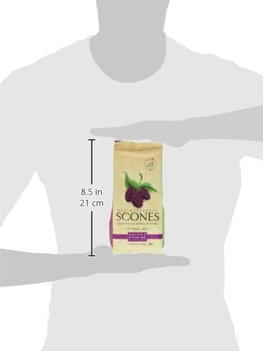 Pack of 6 15 oz Sticky Fingers Bakeries Bulk Scone Mix: Just Add Water Scone Mixes (Red Raspberry)