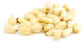 Pine Nuts (2 x 3.00 kg) - 5 Lbs