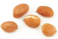 Peanuts Redskin Raw -25Lbs