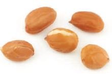 Peanuts Redskin Raw -25Lbs