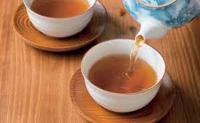 Oi Ocha Roasted Green Tea 1.4oz 20Bags x 2pcs Japanese Roasted Green Tea Tea Bag Ninjapo