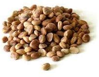 Neotea Almondette Kernels Nuts Charoli or Chironji | Buchanania lanzan | Cullapa Almond | All Natural | Vegan | Gluten Friendly | NON-GMO | Indian Origin 250 GM