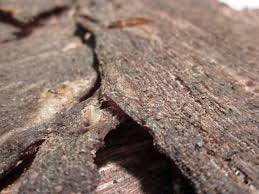 Cowboy Peppered Thin Top Sirloin Cut Steak Jerky