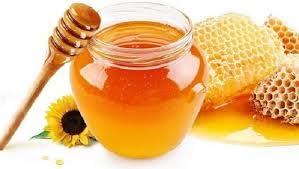 Geohoney Intensive Sal Honey