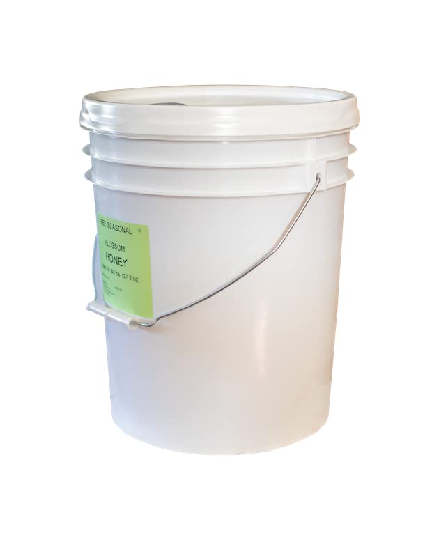 Raw Orange Blossom Honey 5 Gallon (60 lbs) Bucket by Bee Seasonal Kosher Unpasteurized Unfiltered