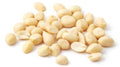 Peanuts Blanched Roasted with Salt -25Lbs
