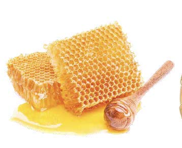 Superior Acacia Honey with Dried Summer Truffle 100% Pure [VitaminsOrganic Acids Gluten- free Sweetener Energy Booster Squeeze Bottle] Miel Trufas Net Weight: 8.81oz/250gr - by Tita Italian