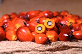 Praise Red Palm Oil 2-Liters - Zomi
