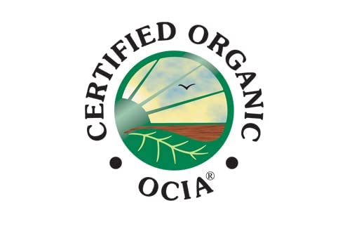 McCabe Organic Extra Virgin Sesame Oil - Cold Pressed Sesame Oil | Rich with Fiber &amp Minerals | USDA and CCOF Certified | Packed in USA | 12 fl oz