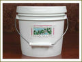 Moon Shine Trading Co High Plains Sweet Clover Honey 1 Gallon - All Natural Organic Superfood Sustainably Farmed