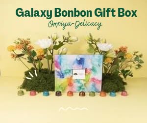 Omniya Delicacy Chocolate Galaxy Bonbon Box – 20 Artisan Bonbons with Gourmet Fillings – Pistachio Hazelnut Coffee Cheesecake Nutella &amp Lemon Feuilletine – Luxury Gift Box 11 oz