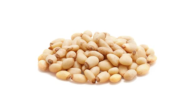 Yupik Pine Nuts 2.2 lb (35.2 oz) Raw Gluten-Free Kosher Raw Nuts Smooth &amp Creamy Pine Kernels Shelled Unsalted Unroasted Oil-Free Source of Iron Ideal for Cooking &amp Baking