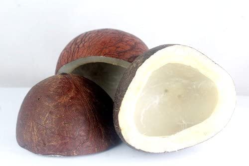 whole Dry Coconut 500 gm