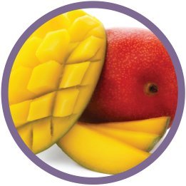 Modern Oats All Natural Oatmeal Cups Mango Blackberry 2.6 Ounce Cup (Pack of 12)