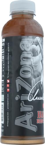 Arizona 20 Ounce Arnold Palmer 480 Fl Oz (Pack of 24)
