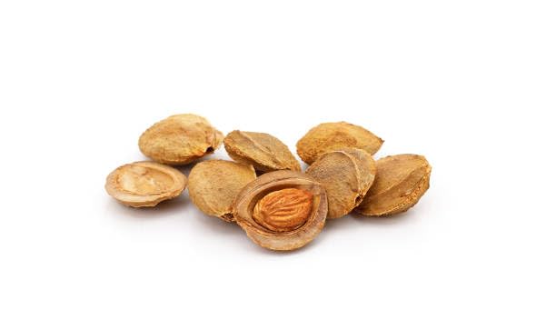 Apricot Seeds California Grown Bitter Raw 100% All Natural From Organic Farms 1 LB
