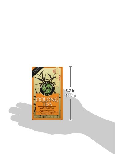 Triple Leaf Tea Inc Tea Oolong 20-Count (Pack of 6)