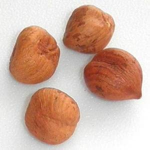 Bayside Candy Filberts Hazelnuts Whole Raw (3LB)