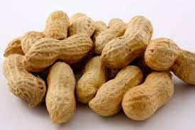 Gurley's Premium Peanuts In-Shell Fire Roasted &amp Salted In Shell Peanut Bulk Party Pack 10 lb Box – Dry Roasted Peanuts Salty Snack for Events &amp Gatherings