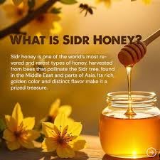 Geohoney Sidr Osaimi Raw Honey from Yemen Premium Grade A++ 700g Brown