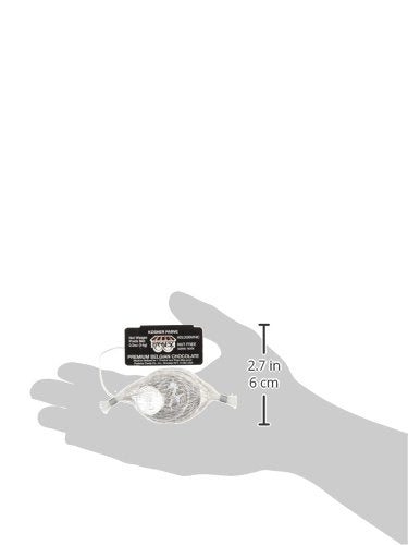 Only Kosher Candy Hanukkah Chocolate Gelt Coin - Kosher Parve Chanukkah Gelt Chocolate Coins and Nut Free Silver Foil Parve Chocolate Coins for Holiday Gifts - 24 x 0.5 Oz Sacks