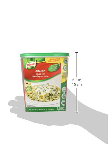 Knorr Professional Alfredo Sauce Mix Made With Real Parmesan Cheese Gluten Free No Artificial Colors Flavors or Preservatives 1 lb Pack of 4