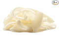 Coconut Slices 24oz Bags — Individual Bags