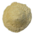 OliveNation Honey Powder for Baking Cooking and Beverages Sucrose with Natural Honey Gluten Free Kosher - 32 ounces