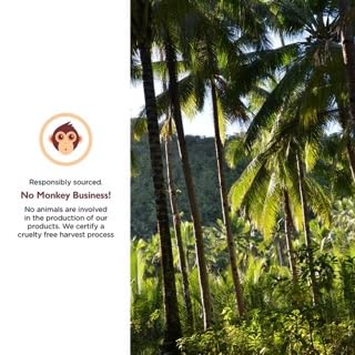 Miracle Palm Organic Refined Coconut Oil Gallon - USDA RBD 1 Gallon (Pack of 2) - Gluten Free Vegan Paleo - Ideal Coconut Oil for Cooking Baking Frying Hair &amp Skincare - Tasteless &amp Deod