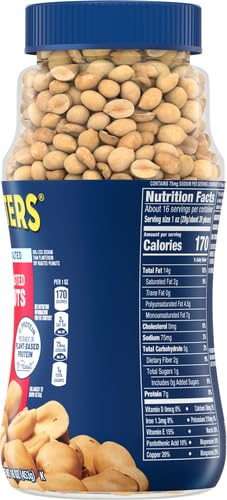 PLANTERS Peanuts Dry Roasted Peanuts Lightly Salted Snack Mix Snacks for Adults - 16 oz. Jars Pack of 12 PLANTERS Nuts