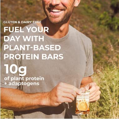 Laird Superfood Functional Protein Bars – Protein Bar but Better with Real Ingredients Functional Mushrooms 10g Plant-Based Protein 6g Fiber - Non-GMO - Peanut Butter 10 Count (Pack of 1)