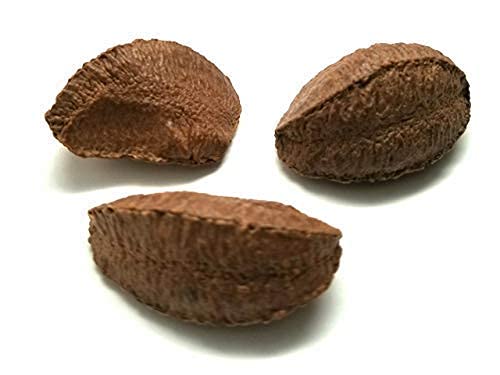 Brazil Nuts In shell Polished Large 16 oz. Raw Brazil Origin KETO Vegan Non-GMO And Natural Whole Superior High-Protein &amp Easy to Crack Resealable Bags of 1 lb. by Presto Sales