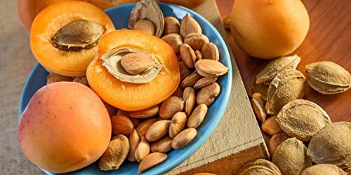 Apricot Seeds California Grown Bitter Raw 100% All Natural From Organic Farms 1 LB