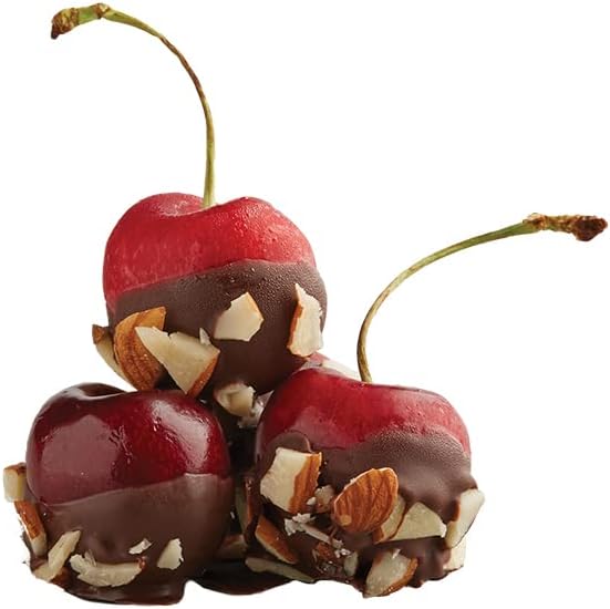 Zing Bars Plant Based Protein Bar Dark Chocolate Cherry Nutrition Bar 10g Protein 6g Fiber Vegan Gluten Free Soy Free Non GMO 12 count