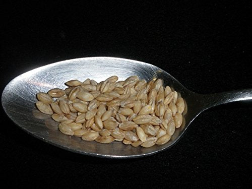 Hulled Barley 5 Pounds (dehulled) USDA Certified Organic Non-GMO Bulk Product of USA Mulberry Lane Farms