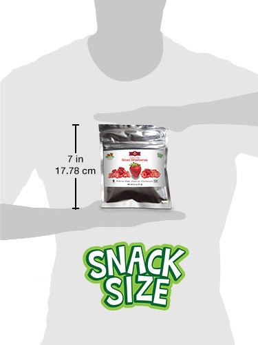 BioTree Labs Freeze Dried Sliced Strawberries - Pack of 12 x 0.4 oz 100% Natural Sliced Fruit Great for Healthy Snacks Cereal Toppers Cupcake Ingredients Smoothies or Trail Mix | NO Added Sugar o