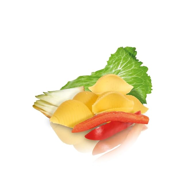 De Cecco Semolina Pasta Shells No.50 1 Pound (Pack of 12)