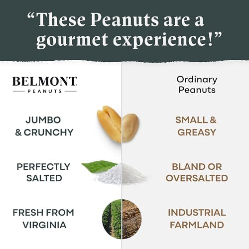 Belmont Peanuts Holiday Edition Salted Gourmet Virginia Peanuts 20 oz (1 Pack) – Hand Seasoned No Preservatives Absolutely Delicious – A Secret Santa Favorite