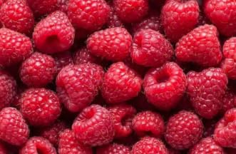 Civara Organic Raspberry Powder 6oz &amp 12oz | 100% Natural Fruit Powder | No Sugar &amp Additives | Great Flavor for Drinks Smoothie Beverages | USDA Organic | Vegan | Gluten Free (12 Ounces)
