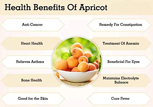 Amphora Soft Dry Fruit Organic Apricots ( 6 Ounce pack of 6 )