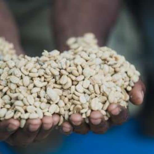 Papua New Guinea Single Origin Arabica Coffee Medium Roast 12oz Ground 1-Pack