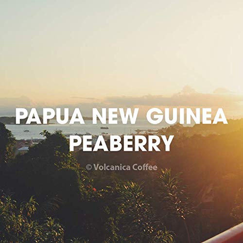 Papua New Guinea Peaberry Coffee Whole Bean Fair Trade Fresh Roasted 16-ounce