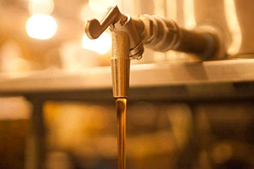 Barred Woods 100% Pure Vermont Maple Syrup (Grade A Dark Color Robust Taste 1/2 Gallon (64 Oz))