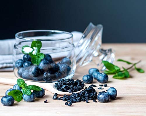 Food to Live Organic Dried Blueberries 8 Pounds Non-GMO Kosher Vegan Unsulfured Bulk