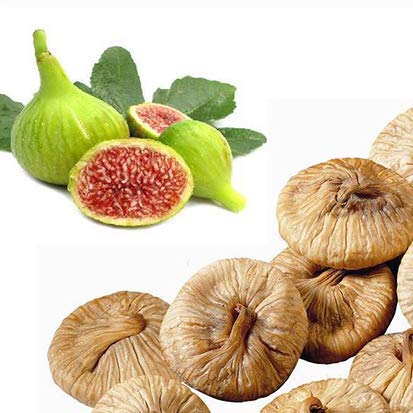 Next by Nature Dried Figs 16 Oz 3 Count