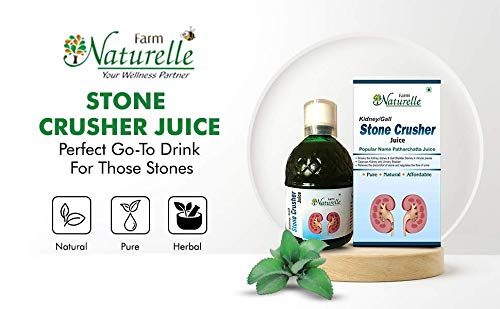 Farm Naturelle-Most Effective juice (Patharchatta juice)-Combination of Patharchatta and Gokhru Beej-1+1 Free-2x400ml+ 2x55g Herbs Infused Forest Honey